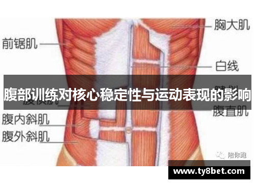 腹部训练对核心稳定性与运动表现的影响